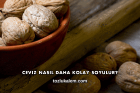 Ceviz Nasıl Daha Kolay Soyulur?