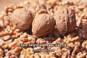 Ceviz Protein Oranı Kaçtır?
