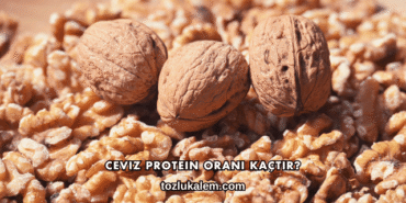 Ceviz Protein Oranı Kaçtır?