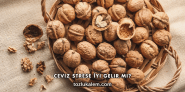 Ceviz Strese İyi Gelir mi?