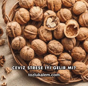 Ceviz Strese İyi Gelir mi?