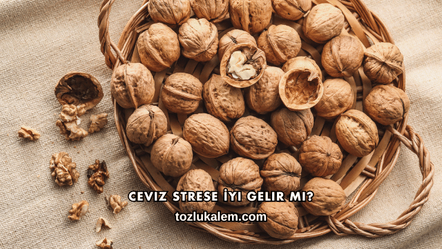 Ceviz Strese İyi Gelir mi?