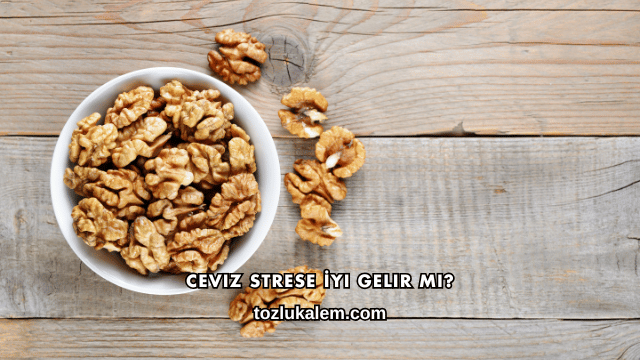 Ceviz Strese İyi Gelir mi?