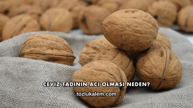 Ceviz Tadının Acı Olması Neden?