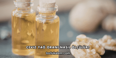 Ceviz Yağ Oranı Nasıl Ölçülür?