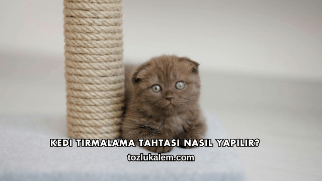 Kedi Tırmalama Tahtası Nasıl Yapılır?