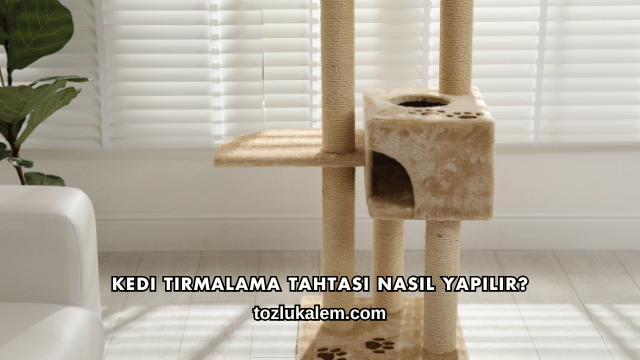 Kedi Tırmalama Tahtası Nasıl Yapılır?