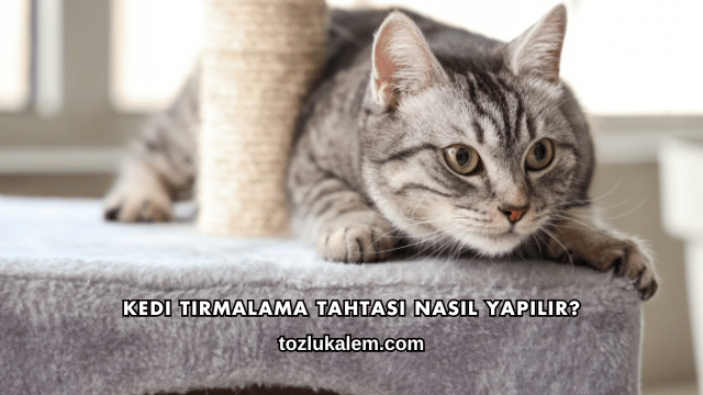 Kedi Tırmalama Tahtası Nasıl Yapılır?