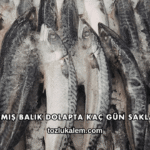 Pişmemiş Balık Dolapta Kaç Gün Saklanır?
