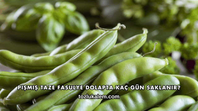Pişmiş Taze Fasulye Dolapta Kaç Gün Saklanır?