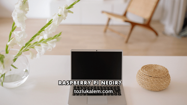 Raspberry Pi Nedir?