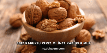 Sert Kabuklu Ceviz mi İnce Kabuklu mu?